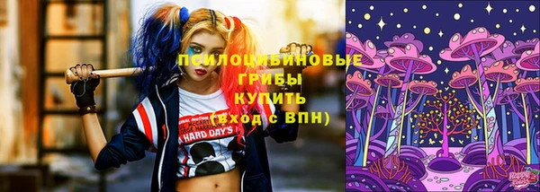 СК Строитель