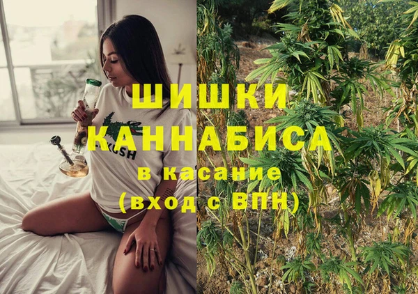 СК Строитель