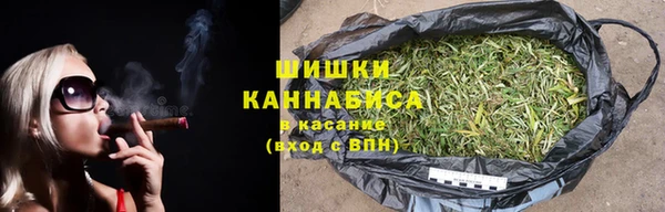 СК Строитель